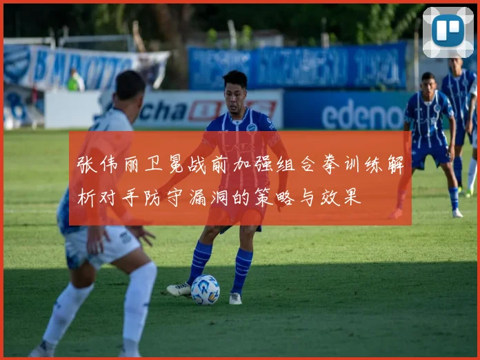 张伟丽卫冕战前加强组合拳训练解析对手防守漏洞的策略与效果