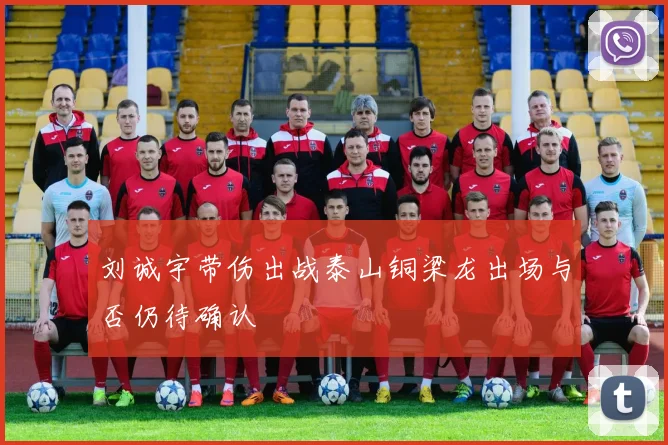 刘诚宇带伤出战泰山铜梁龙出场与否仍待确认